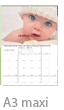 goedkoopste beste a2 jaarkalender met foto's staand dubbel